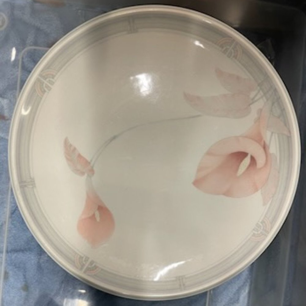 Partial SET Vintage Keltcraft Misty Isle (Noritake) used, Eternal Blush dishes